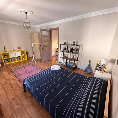 Historic Wooden House With Bosphorus View * Istanbulská provincie