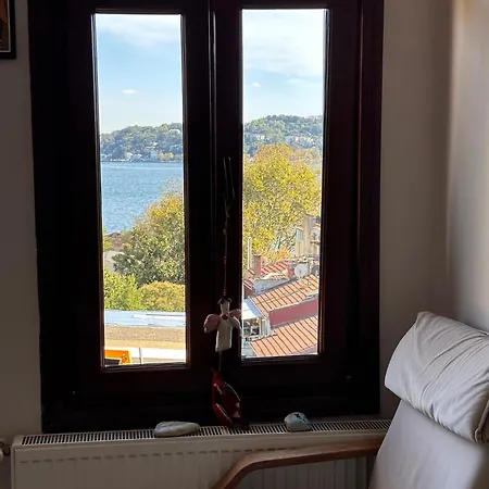 Historic Wooden House With Bosphorus View *